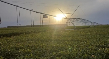 Governo de Goiás aposta no Vale do Araguaia como novo polo global de produção de alimentos